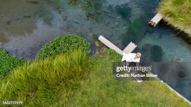 female scientist studying water samples - fish hatchery stock pictures, royalty-free photos & images