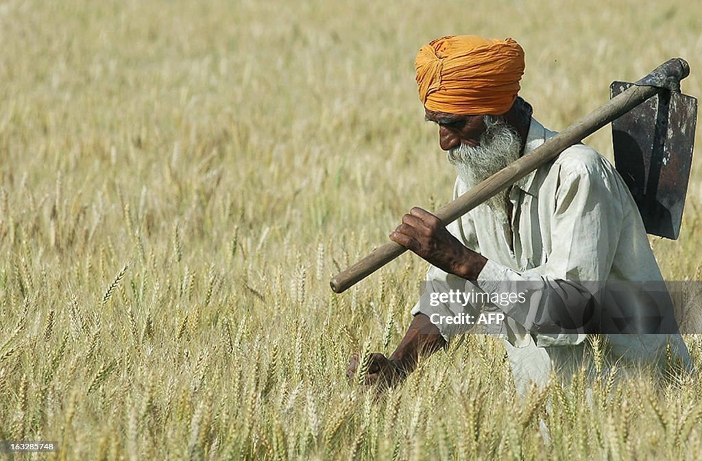 INDIA-ECONOMY-AGRICULTURE-BAISAKHI