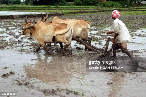 Srinivas Reddy Field 61 Srinivas Reddy Stock Photos, High-Res Pictures, and Images - Getty ...
