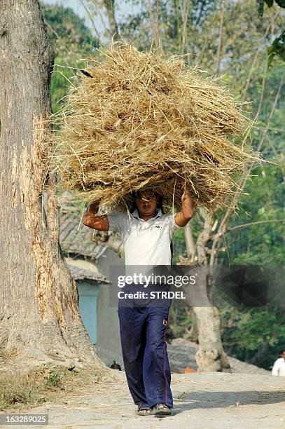 India Inayat 114 Inayat Stock Photos, High-Res Pictures, and Images - Getty Images