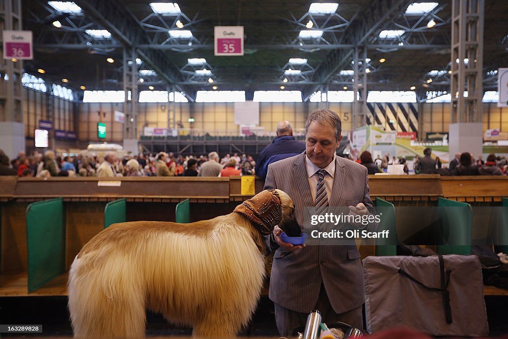 Dogs And Owners Gather For 2013 Crufts Dog Show