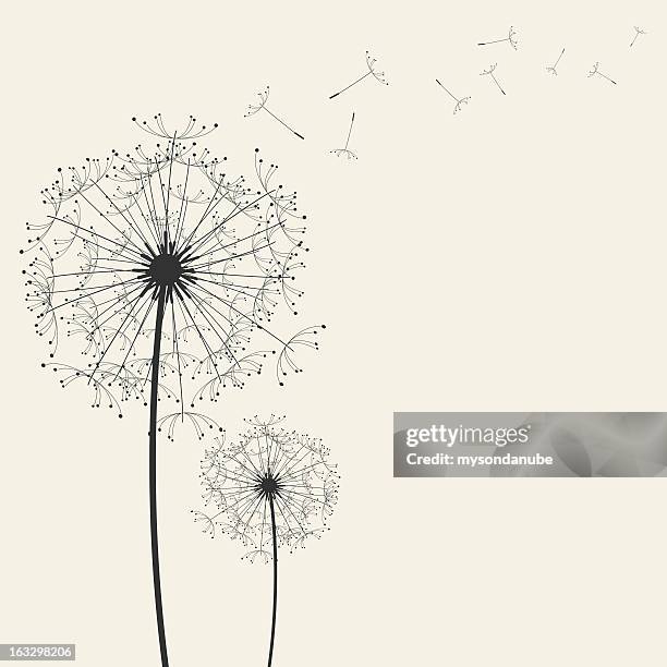 bildbanksillustrationer, clip art samt tecknat material och ikoner med dandelions - tranquil scene