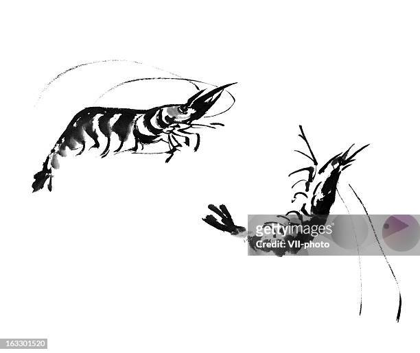 illustrazioni stock, clip art, cartoni animati e icone di tendenza di gamberi - shrimp animal