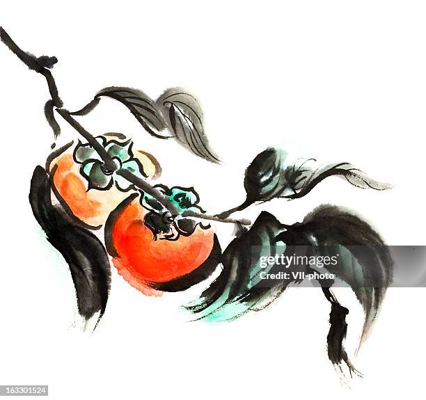 ilustrações, clipart, desenhos animados e ícones de persimmon - caqui fruta tropical
