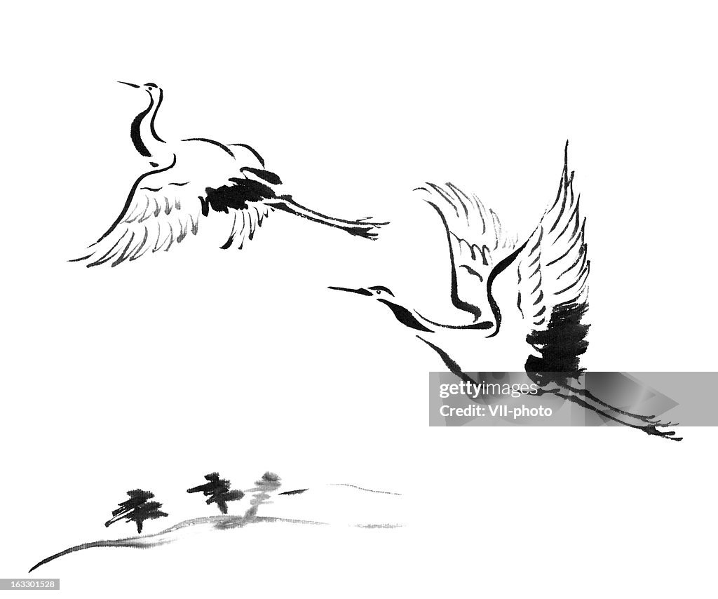 Cranes