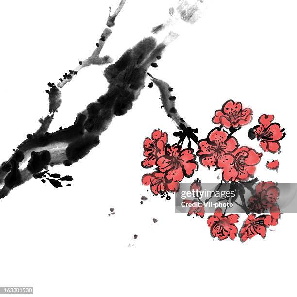 cherry blossoms - japan blossom stock illustrations