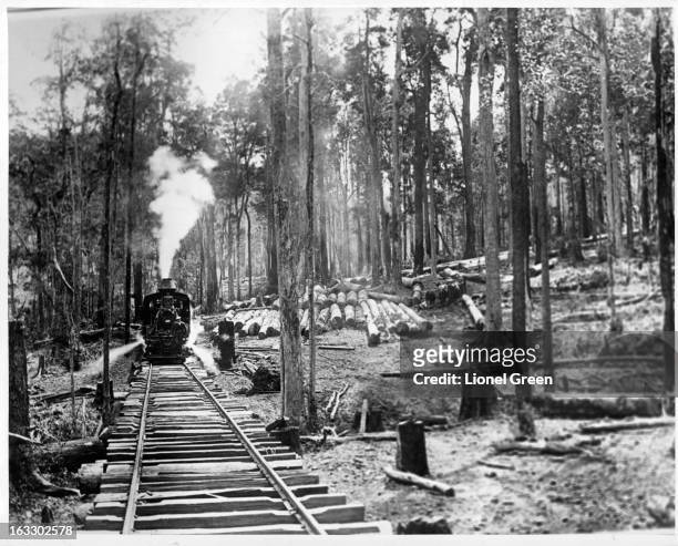Scene of a train coming down the tracks passing a logging town in the Forest Of Camden Haven, Australia, 1955.
