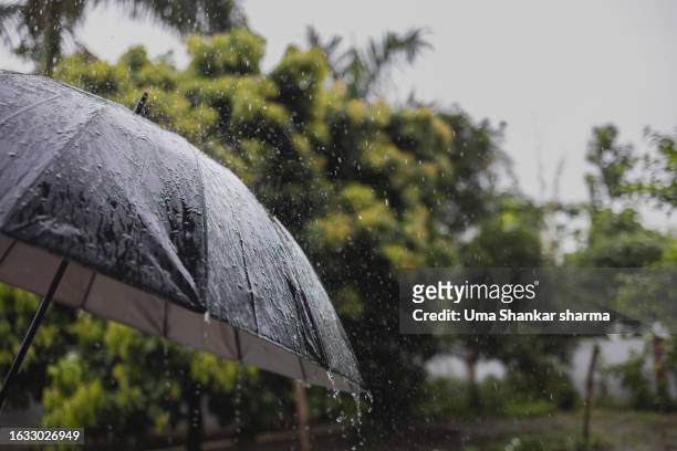 rain - india rain stock-fotos und bilder