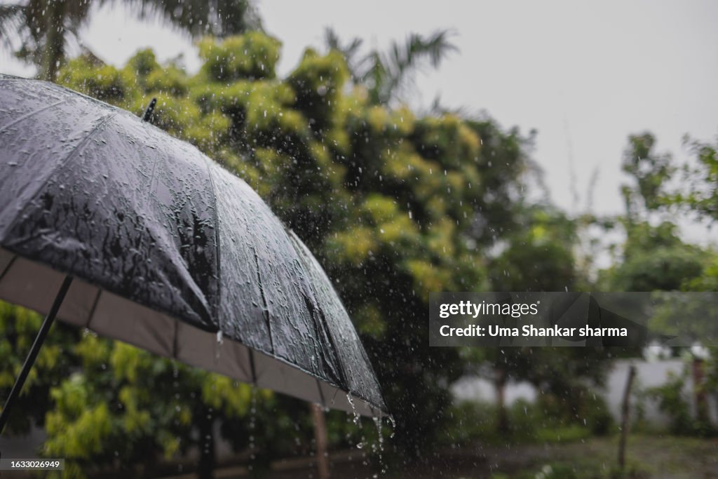 Rain