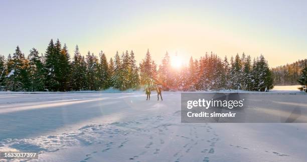 couple skating on frozen lake - frozen lake sunset stock pictures, royalty-free photos & images