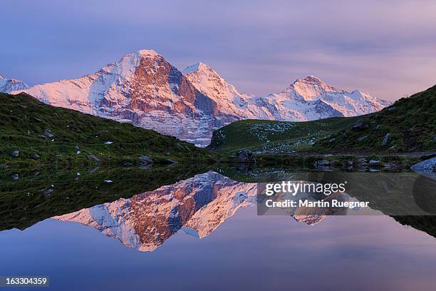 eiger, mönch and jungfrau reflecting in pond. - eiger mönch jungfrau stock pictures, royalty-free photos & images