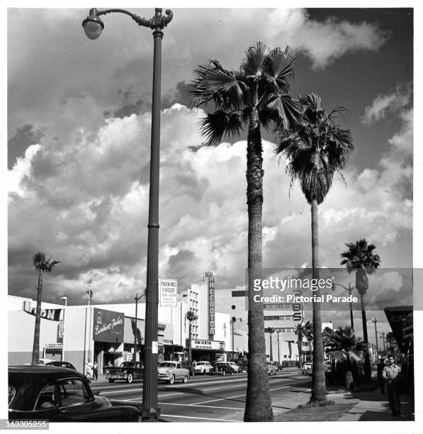You see CBS and The Palladium while looking East on Sunset Boulevard in Hollywood, California, 1951.