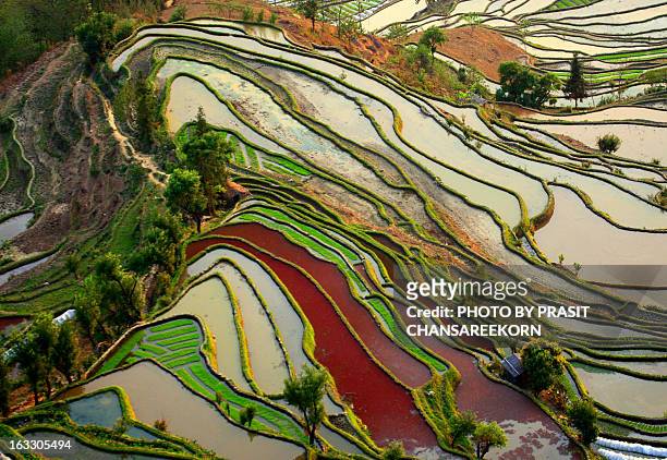 yuanyang rice terrace - yuanyang stock pictures, royalty-free photos & images