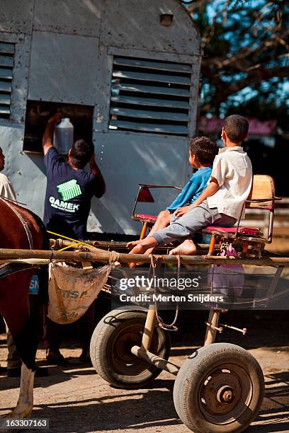 horse and cart shopping at beer vendor - horse and beer stock pictures, royalty-free photos & images