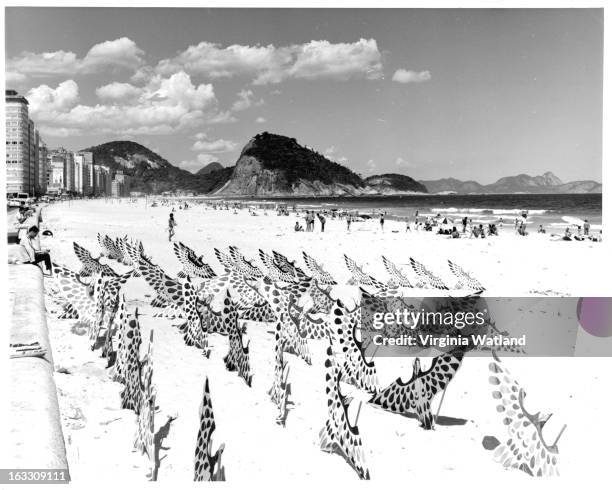 In the background People enjoying their day, as kites resembling birds are lined up in the sand on Copacabana Beach in Rio De Janeiro in Brazil, 1955.