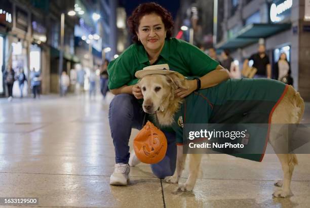Sandy, a golden retriever, hangs out with people while holding a plastic pumpkin in the streets of Mexico City's Zocalo run by her owner Paco,...