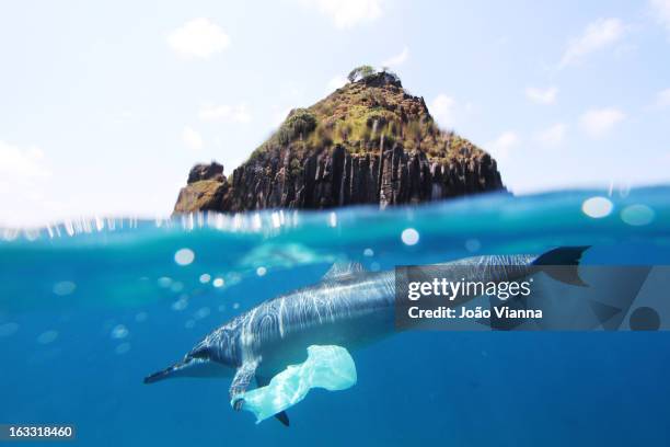 dolphin and plastic bag - plastic bag stock pictures, royalty-free photos & images