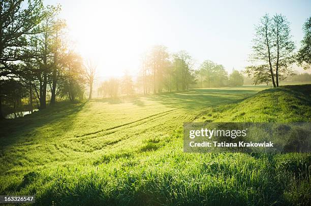 schöne natur - frühlingswiese himmel stock-fotos und bilder