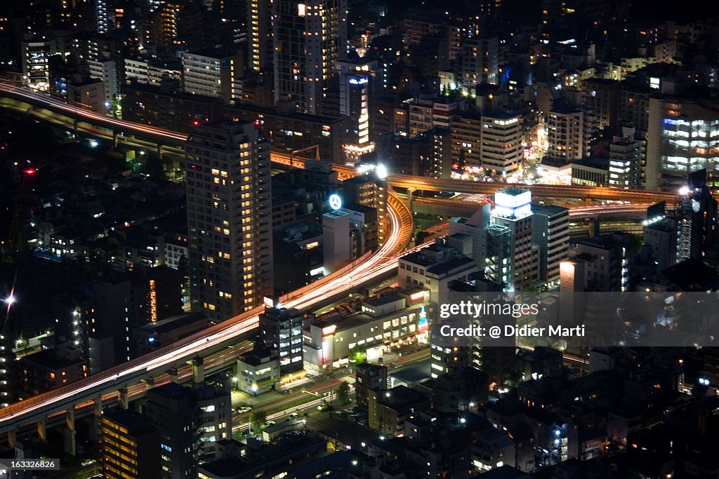 Tokyo urban jungle