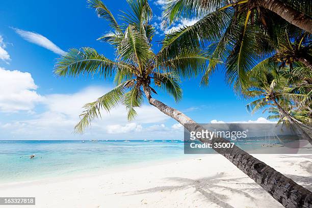 tropical white sand beach - boracay beach stock pictures, royalty-free photos & images