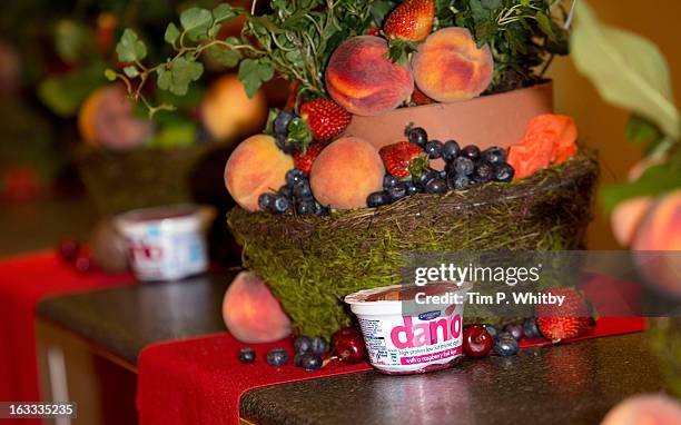 General view of atmosphere during the launch of Danio, a new high protein strained yogurt from Danone, at Nuffield Health on March 6, 2013 in London,...