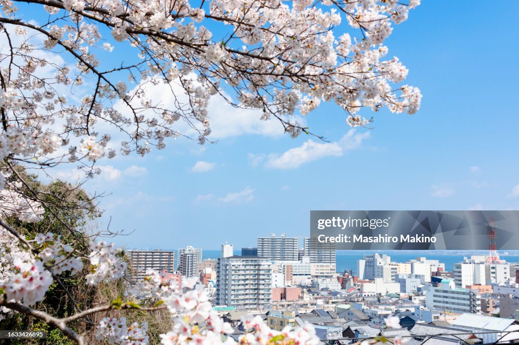 Springtime View of Otsu City