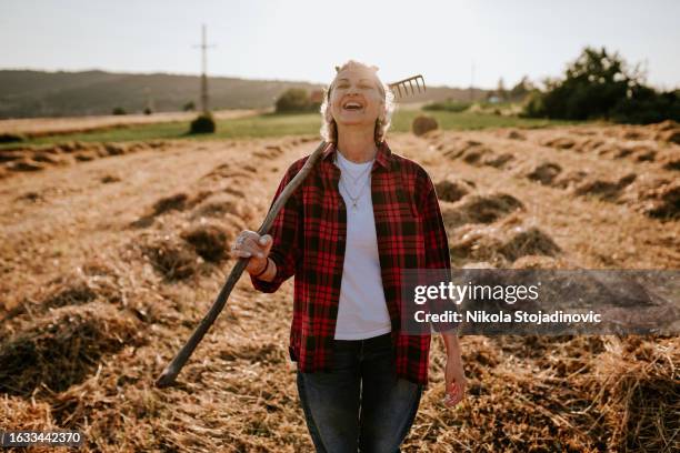 female farmer in a wheat field - get your hoe ready 個照片及圖片檔
