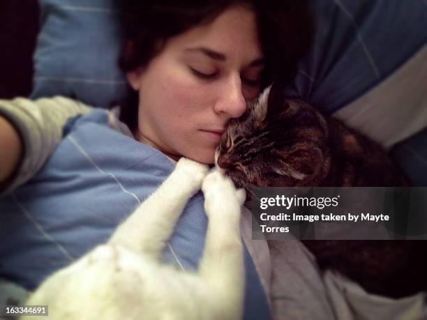 in bed with cats in the morning - due animali foto e immagini stock