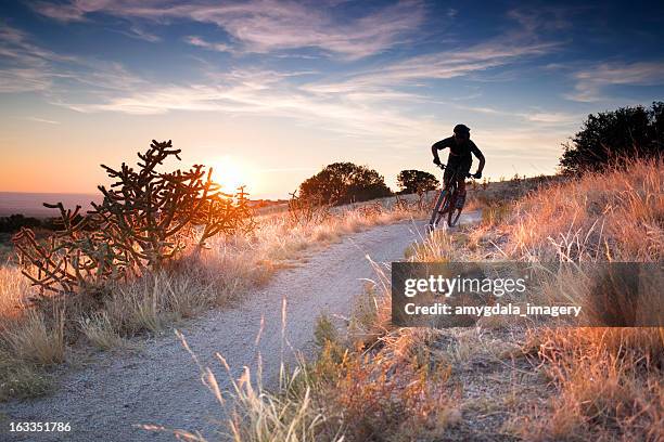 mountain biking landscape - cross country road trip stock pictures, royalty-free photos & images