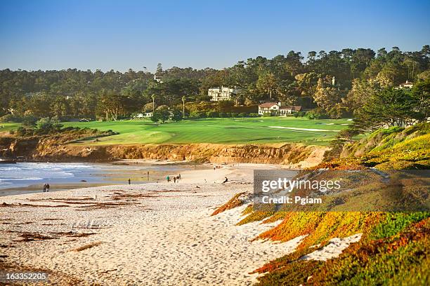 carmel beach in carmel-by-the-sea - pebble beach california stockfoto's en -beelden