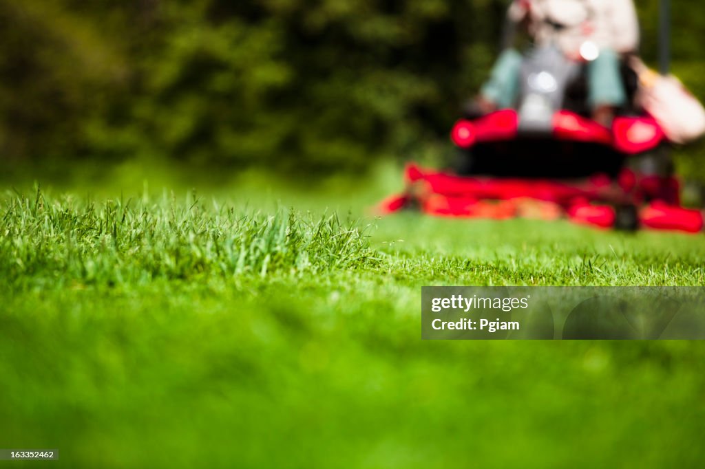 Man mowing lawn