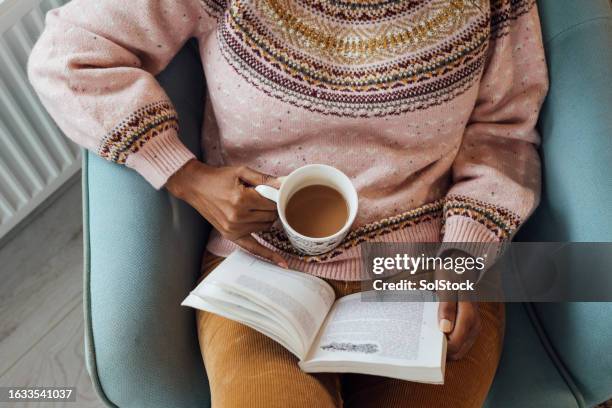 reading on vacation - boeken stockfoto's en -beelden