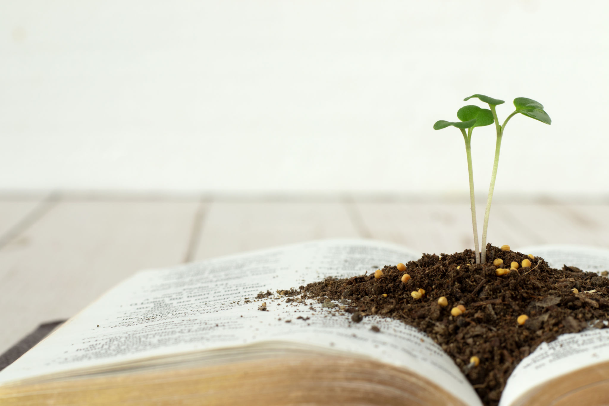 spiritual growth