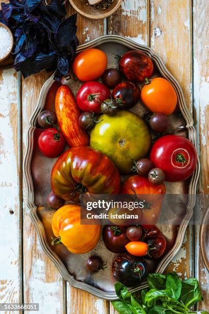 fresh organic colorful heirloom  tomatoes, basil, and seasoning,  salad ingredients - colorful vegetables summer stock-fotos und bilder