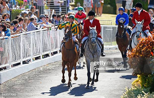 Opie Bosson aboard So Wotif wins the NZB Insurance Pearl Series Mr Tiz Trophy at Ellerslie Racecourse on March 9, 2013 in Auckland, New Zealand.