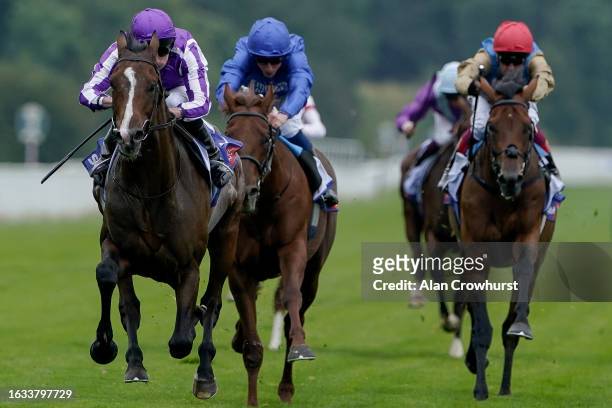 Ryan Moore riding Continuous win The Sky Bet Great Voltigeur Stakesat York Racecourse on August 23, 2023 in York, England.