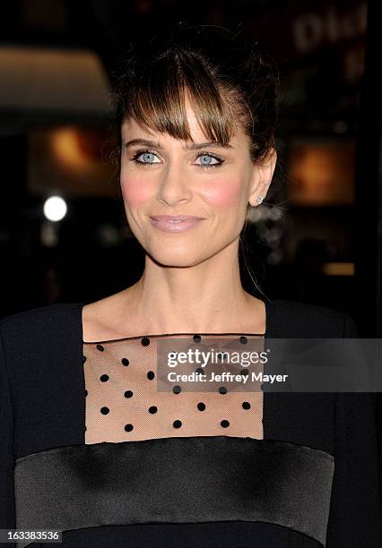 Amanda Peet arrives at the 'Identity Thief' Los Angeles premiere at Mann Village Theatre on February 4, 2013 in Westwood, California.