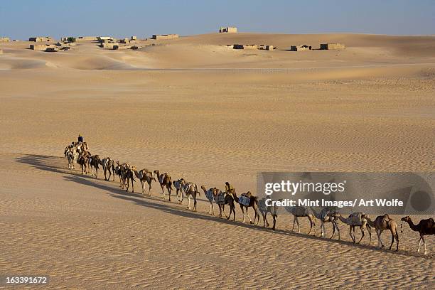 camel train with nomadic tribesmen, mali - west africa stock pictures, royalty-free photos & images