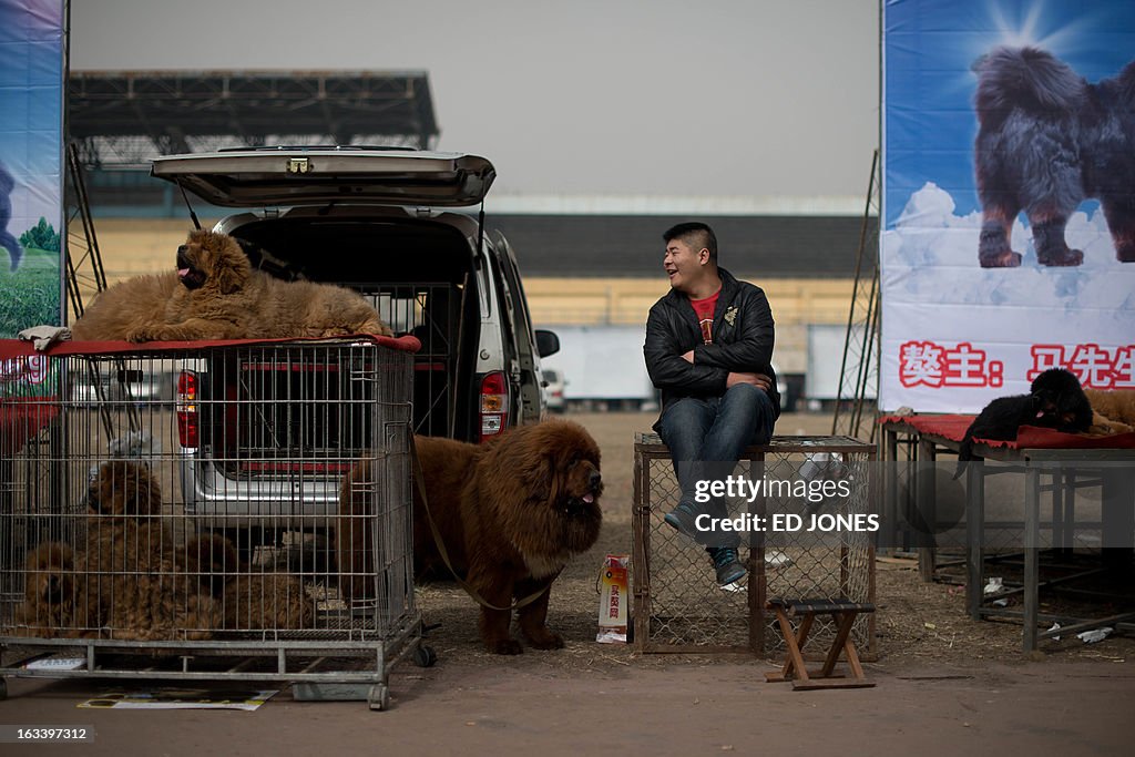 CHINA-TIBET-LIFESTYLE-ANIMAL-DOG