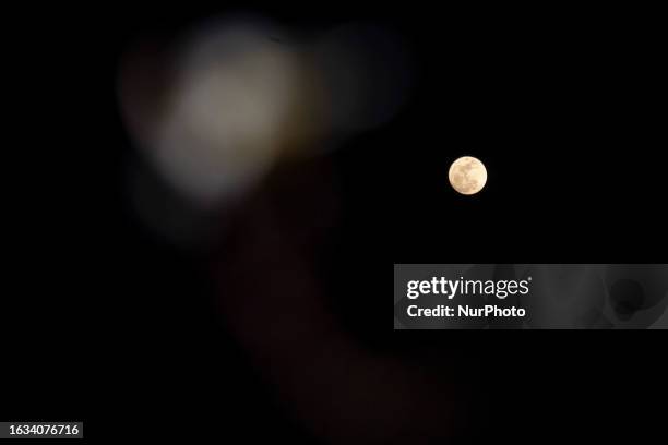 Java Moon Photos and Premium High Res Pictures - Getty Images