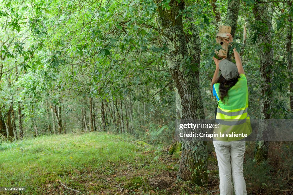 Technician putting up a birdhouse in the trees