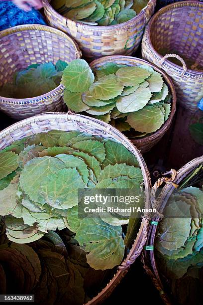 leaves for cheroots in baskets - cheroot making stock pictures, royalty-free photos & images