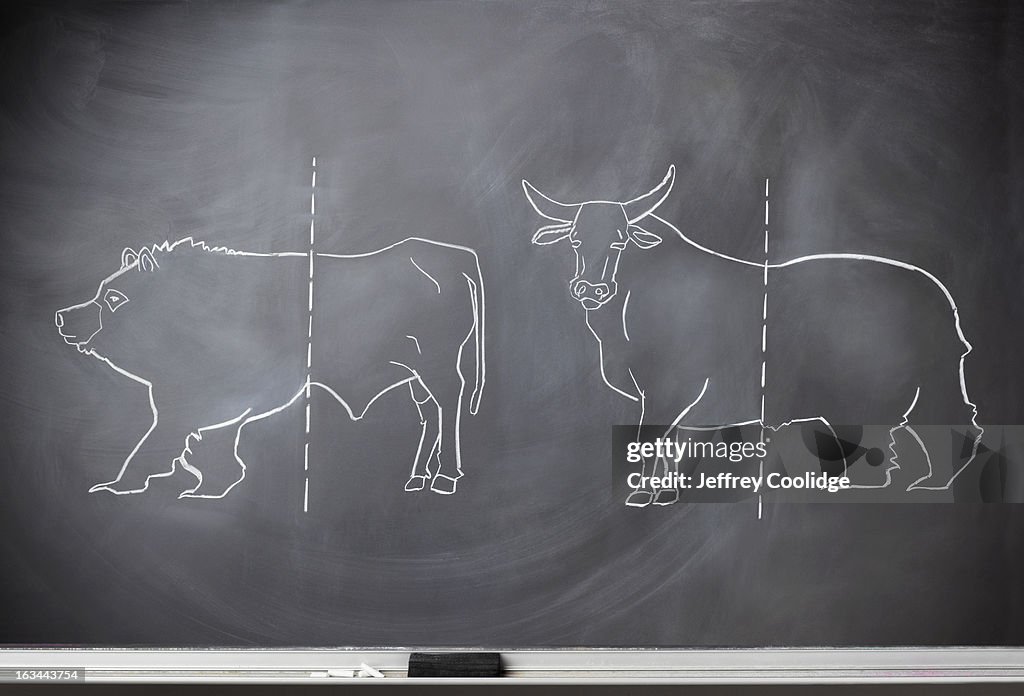 Bull & Bear on Blackboard