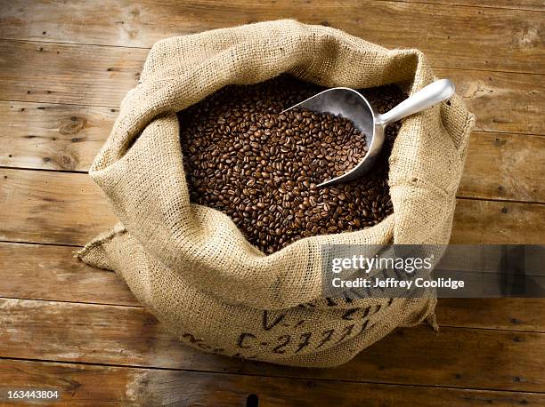 roasted coffee beans in burlap bag - tela ruvida foto e immagini stock