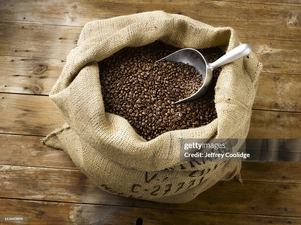 Roasted Coffee Beans in Burlap Bag