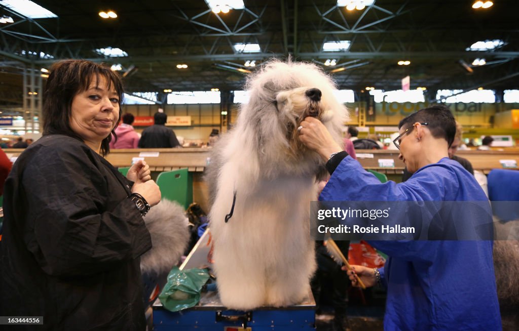 Dogs And Owners Gather For 2013 Crufts Dog Show