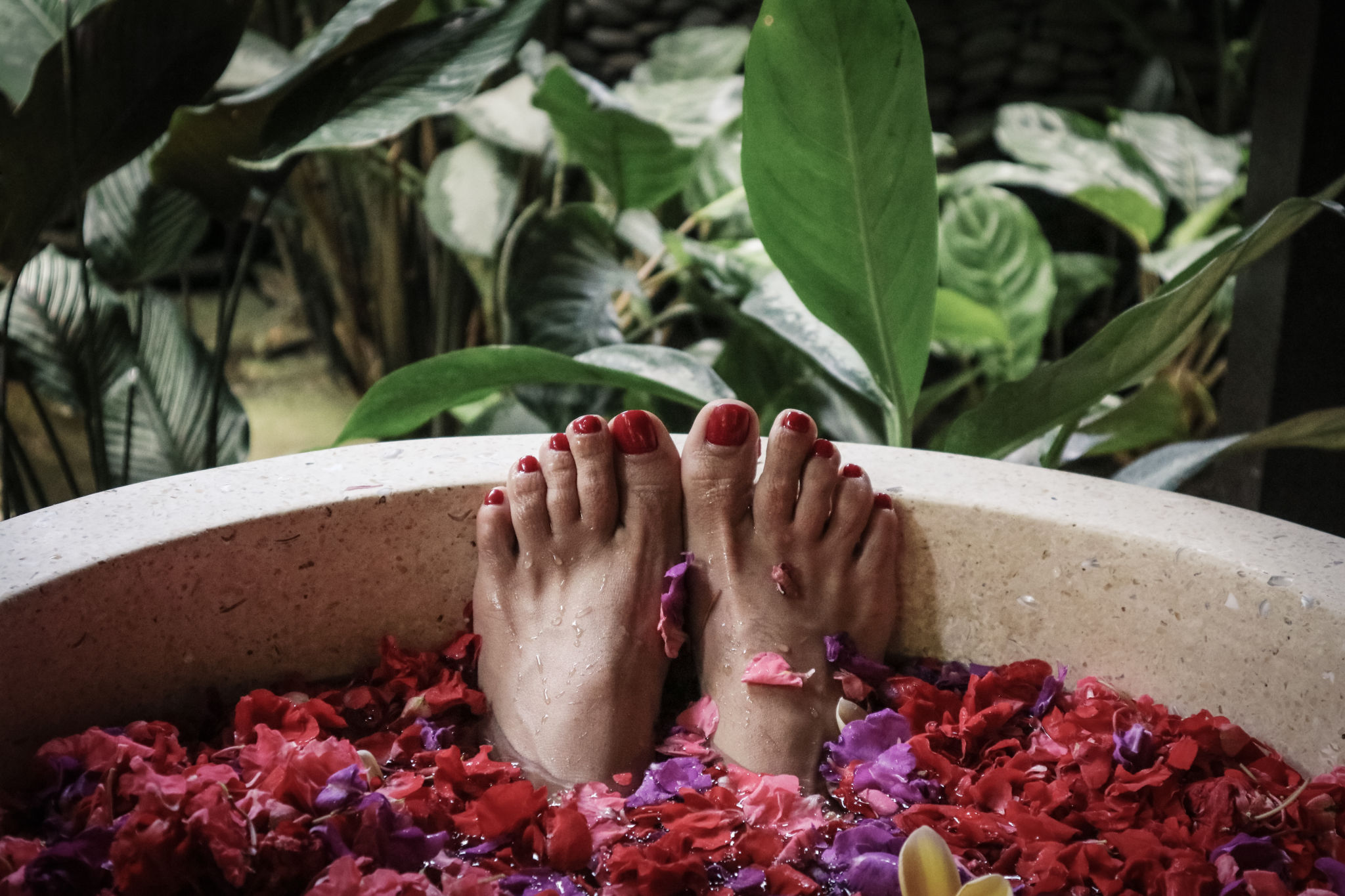Bath tub with flower petals in Bali, Indonesia Bath tub with flower petals in Bali, Indonesia