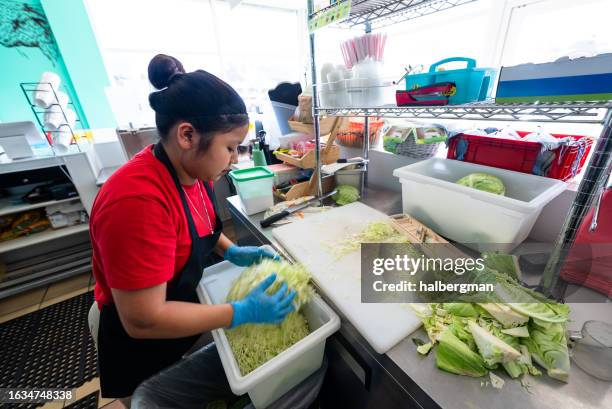 restaurant worker moving cut cabbage into container - mexican restaurant stock pictures, royalty-free photos & images