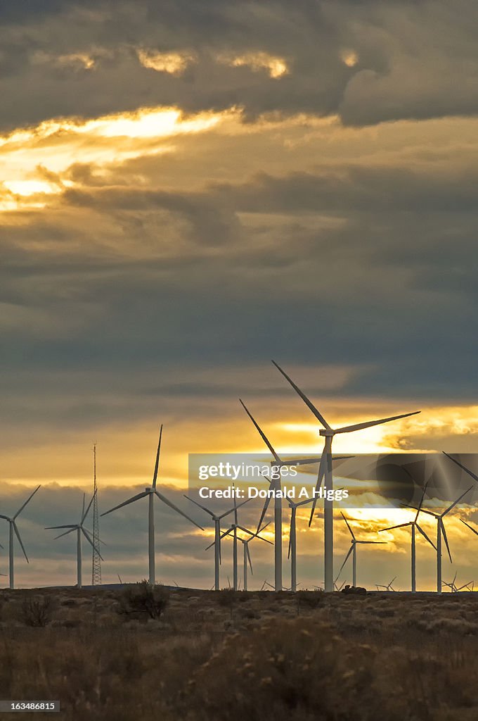 Wind-farm windmills