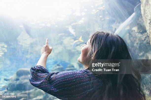 woman looking into aquarium - people at aquarium stock pictures, royalty-free photos & images